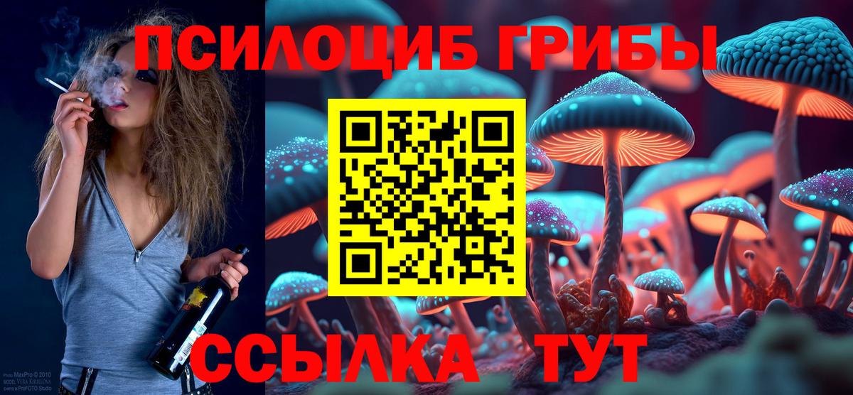 Галлюциногенные грибы Psilocybine cubensis Благодарный